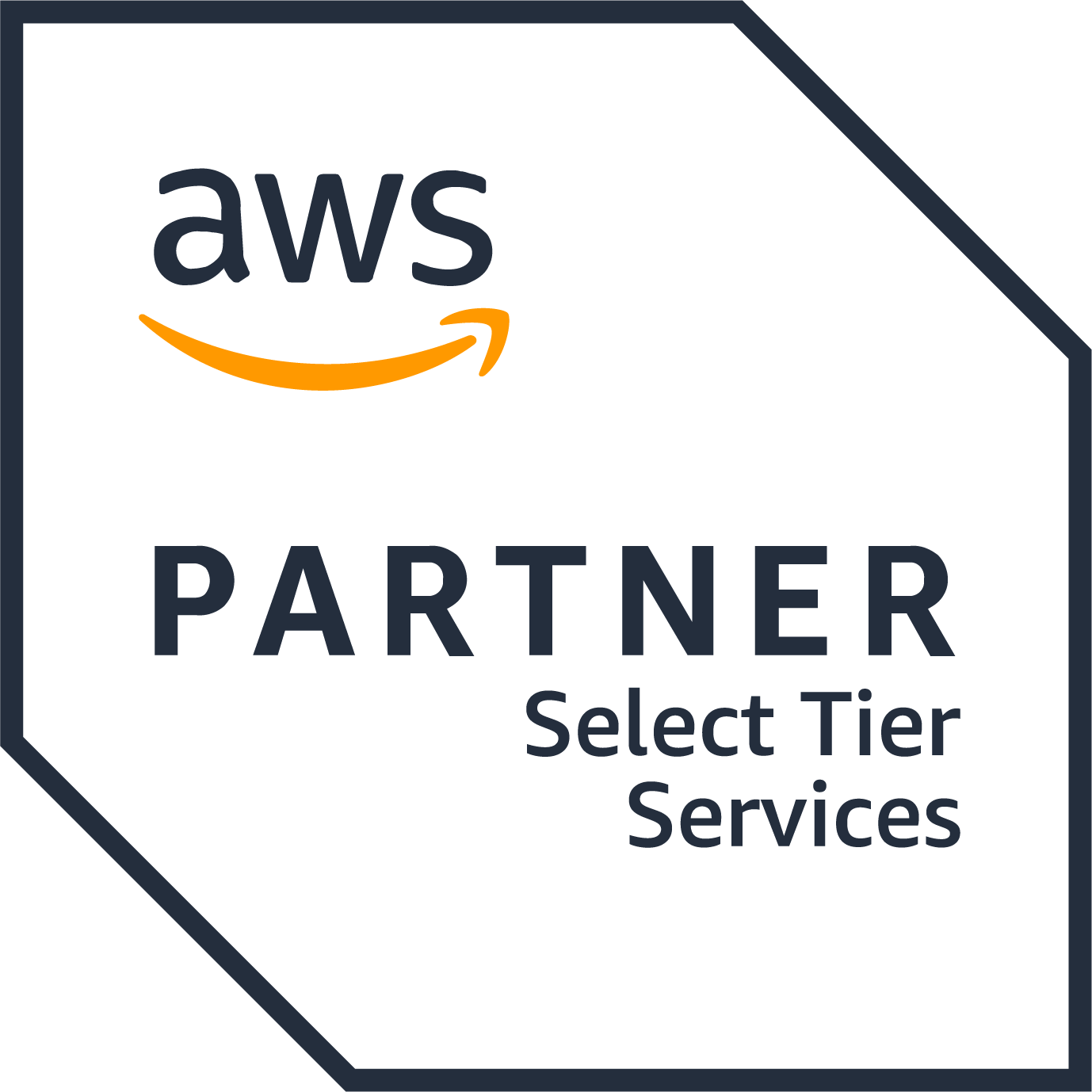 Bion-AWS Partner